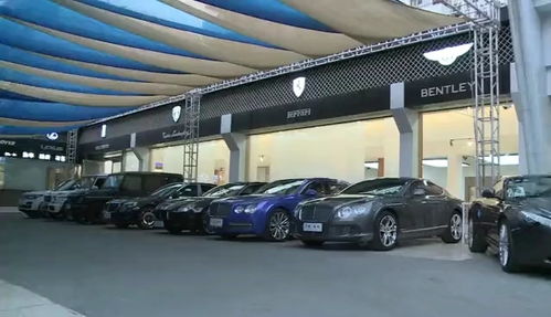 购买二手车的全攻略 如何明智选择与避坑